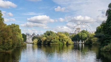 Photo of O jardim do Parque de St. James em Londres