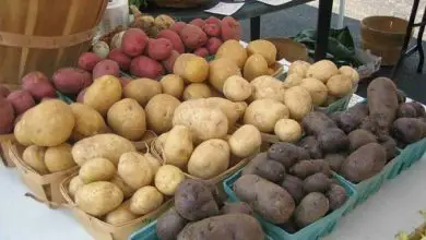 Photo of Tipos e variedades de batata: Diferença de batata doce entre a nova e a Velha