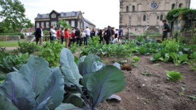 Photo of Agricultura urbana na Alemanha. Jardins urbanos em Andernach e Berlim