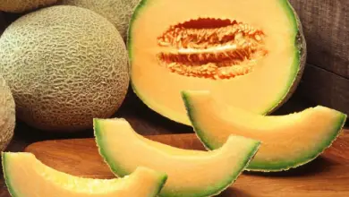 Photo of Benefícios fazer melão e propriedades Desta frutas nutricionais.