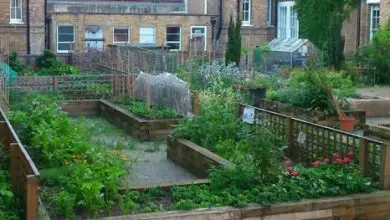 Photo of 5 razões para ter jardins em hospitais. Orchard Hospital Charles St. (Londres)