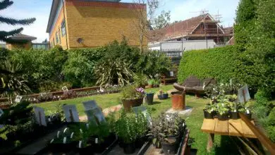 Photo of Jardins urbanos em Londres: Walworth Garden Farm