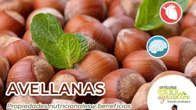 Photo of Avelãs, benefícios e propriedades nutricionais