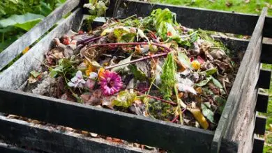 Photo of Compost Jardim: Tudo o que você precisa saber sobre compostagem