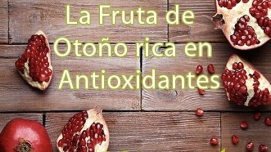 Photo of Roma, fruta rica antioxidantes em outono