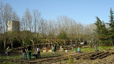 Photo of comunidade Huerta em Madrid: HuertAula Cantarranas