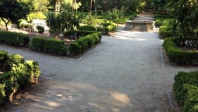 Photo of Pomar do Jardim Botânico de Madrid