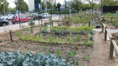 Photo of Jardins em Alcobendas. Uma iniciativa municipal