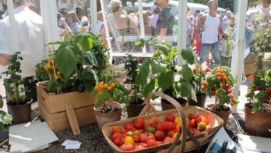 Photo of Chelsea Flower Show: novas idéias para recipientes de jardinagem urbana