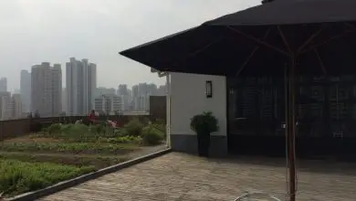 Photo of Anken Rooftop Farm: Agricultura Urbana em Xangai