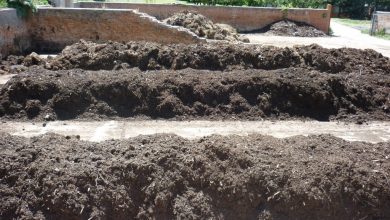 Photo of Compost Bocashi para pagar o jardim: Complete Guide
