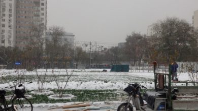 Photo of Beijing: Cultivando Urban Inverno Jardinagem