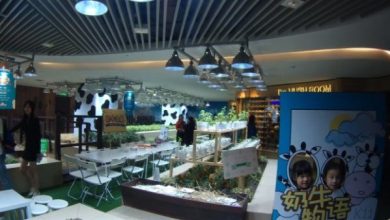 Photo of agricultura urbana K11. Jardins em shoppings