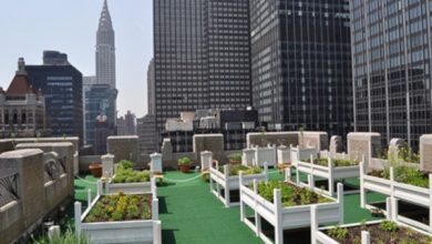 Photo of cultura mesa para o jardim urbano em casa. Tipos de tabelas de cultivo