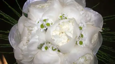 Photo of Preços de arranjos de flores para casamento