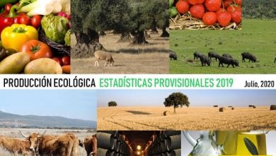 Photo of Mais Agricultura Ecológica: Ou do Crescimento Bio Setor na Espanha imparável contínua