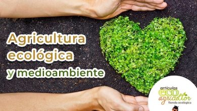 Photo of agricultura orgânica como UO Organica contribuído para proteger ou Meio Ambiente?