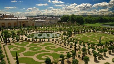 Photo of Canteiros de flores de jardim