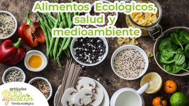 Photo of Organic Foods OU Orgânicos, Melhores São realmente para o SUA Saúde e Meio Ambiente ou?