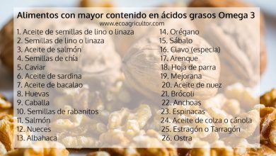 Photo of Benefícios e lista de alimentos funcoes com omega3 ácidos graxos