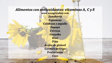 Photo of Antioxidantes: o São Paulo, funcoes e Melhores EM alimentos ricos em antioxidantes