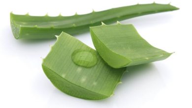 Photo of Planta de aloe vera