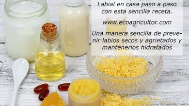 Photo of Lip Balm caseiro: Passo Passo Receita para Fazer hum bálsamo que hidrata e evita secar lábios rachados UO
