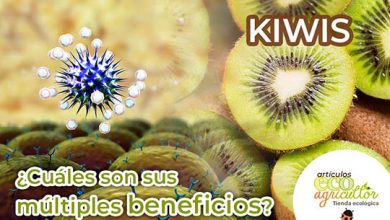 Photo of Kiwi: uma fruta cuidado para não inverno NÓS