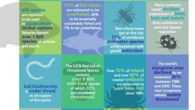 Photo of Ou dois Perda futuro em alimentos crag de biodiversidade de com hum concordou Relatório da FAO