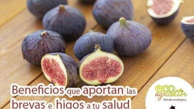 Photo of Brevas e figos: ESSA comer frutas Com Você digestivo, propriedades antioxidantes e Antianémico?