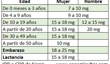 Photo of Anemia: 10 alimentos com OS Maior teoria do ferro
