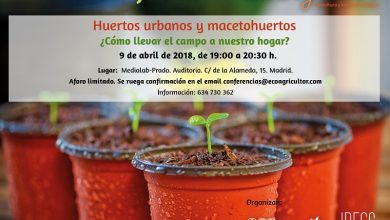 Photo of Conferência sobre Urbano e de flores vasos Jardins em Madrid