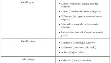 Photo of Quer saber como fazer diferentes tipos de shampoos naturais?