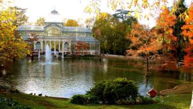 Photo of Jardins em Retiro – Madri