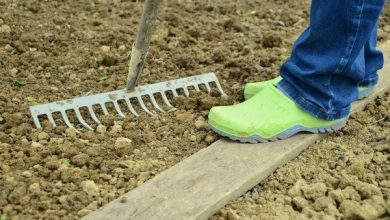 Photo of Cuidados a ter com o solo do jardim. Fertilizantes e trabalho para melhorar a terra