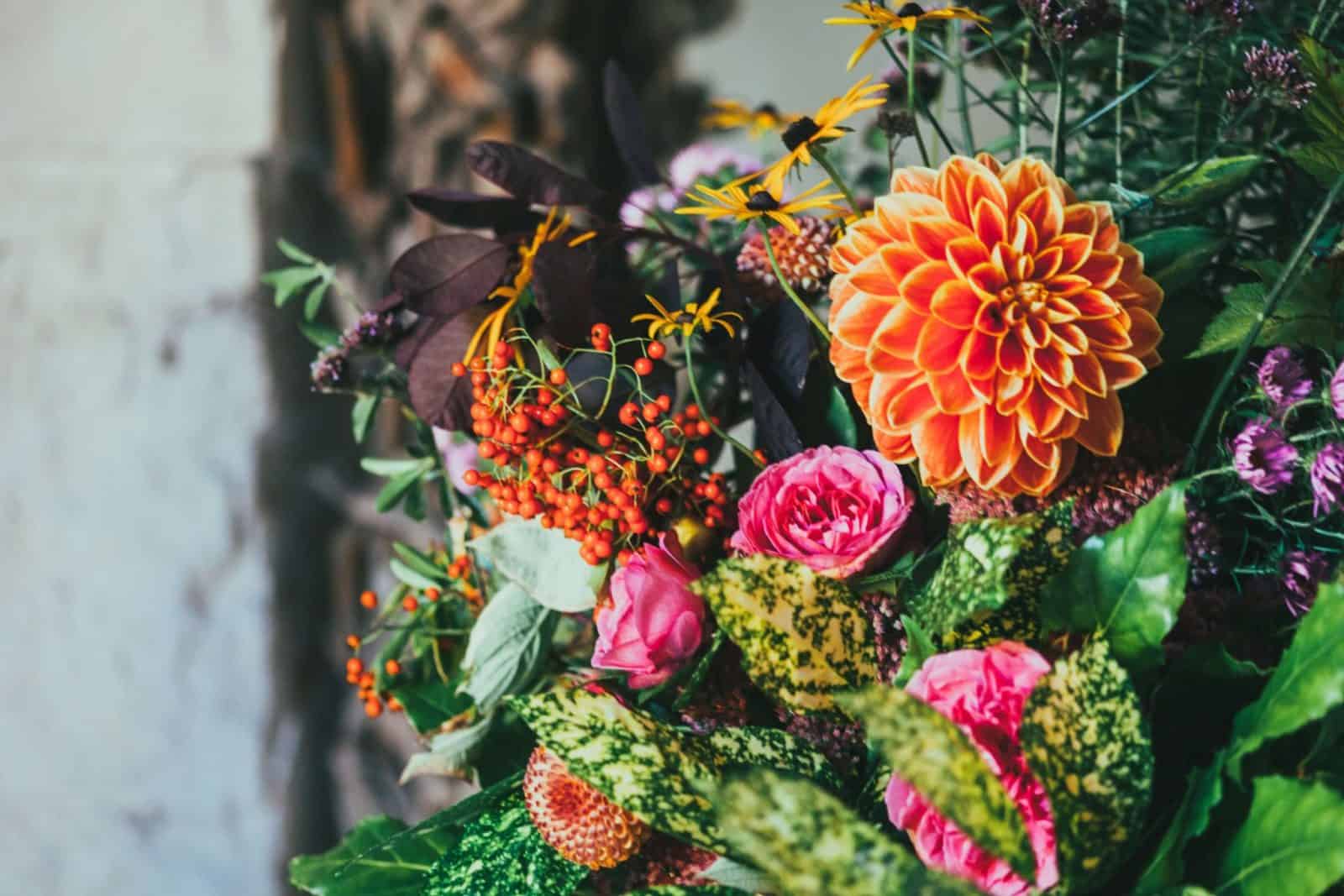 como preparar o plantio de flores