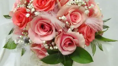 Photo of Arranjos de flores para casamento