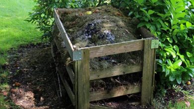 Photo of Composto: [Complete Guide to Fazer Seu Composto PRÓPRIO]