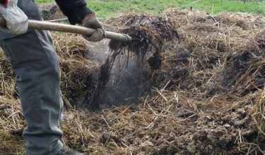 Photo of Fertilizantes para plantas