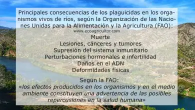 Photo of Poluição dos rios por agrotóxicos: Uma na Espanha preocupação Situação