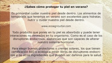 Photo of Rápido Você sabe como proteger SUA Pelé não verão? Ao da Pele cuidados como sol e como Escolher Um bom protetor solar