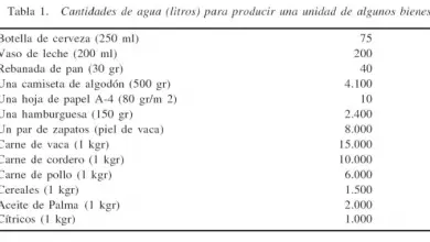 Photo of Ou útil Conceito água E virtual?