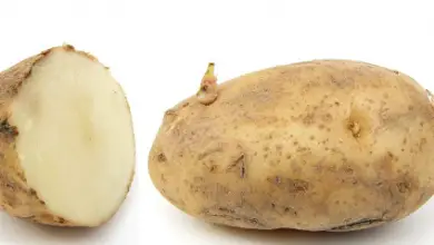 Photo of 10 Passos para o cultivo de batatas ou potes sacos UO em