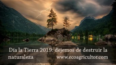 Photo of Dia Internacional da Mãe Terra 2019: parar de destruir Natureza