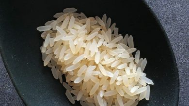 Photo of plantio de arroz Em [11 etapas e com fotos] ou guia preciso que rápido Você