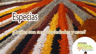 Photo of Especiarias: guia para conhecer e aproveitar como Desses utilizações propriedades e condimentos