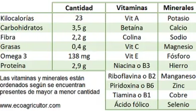 Photo of Espinafre: Seu descobrir valor nutricional, benefícios Saúde e Uma deliciosa Aprecia-Receita para o