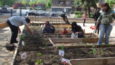 Photo of hortas urbanas no Distrito de Moratalaz (Madrid)