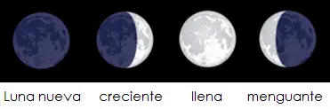 Photo of APROVEITE da lua para não influenciar jardim