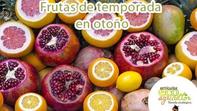 Photo of Sazonais não outono de alimentos: frutas e Vegetais estao Quais nenhuma Seu Melhor